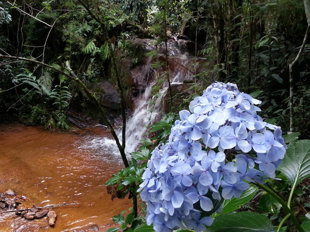 Pousada Da Oma Cunha Exterior foto